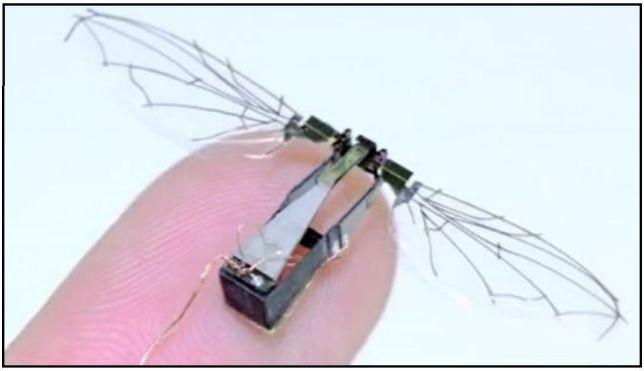 Airion Health, LLC signed a Patent License Agreement in January with AFRL to develop and market a device to achieve six-degree control of flapping wing micro air vehicles, enabling the aircraft to display insect-like maneuverability Bird Drone