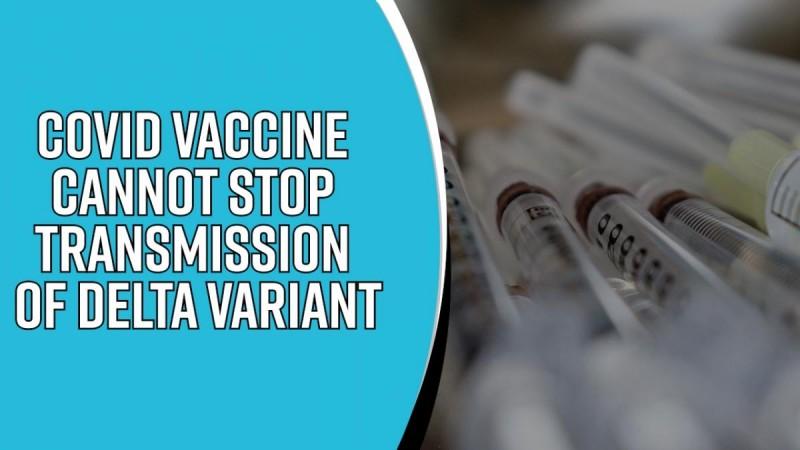 Covid vaccine cannot stop transmission of Delta variant