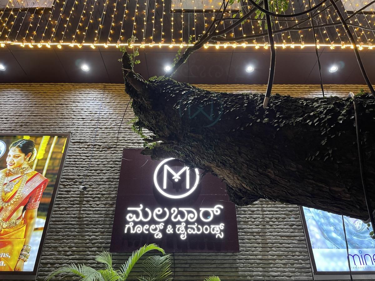 iPhone 12 Pro Max camera sample: