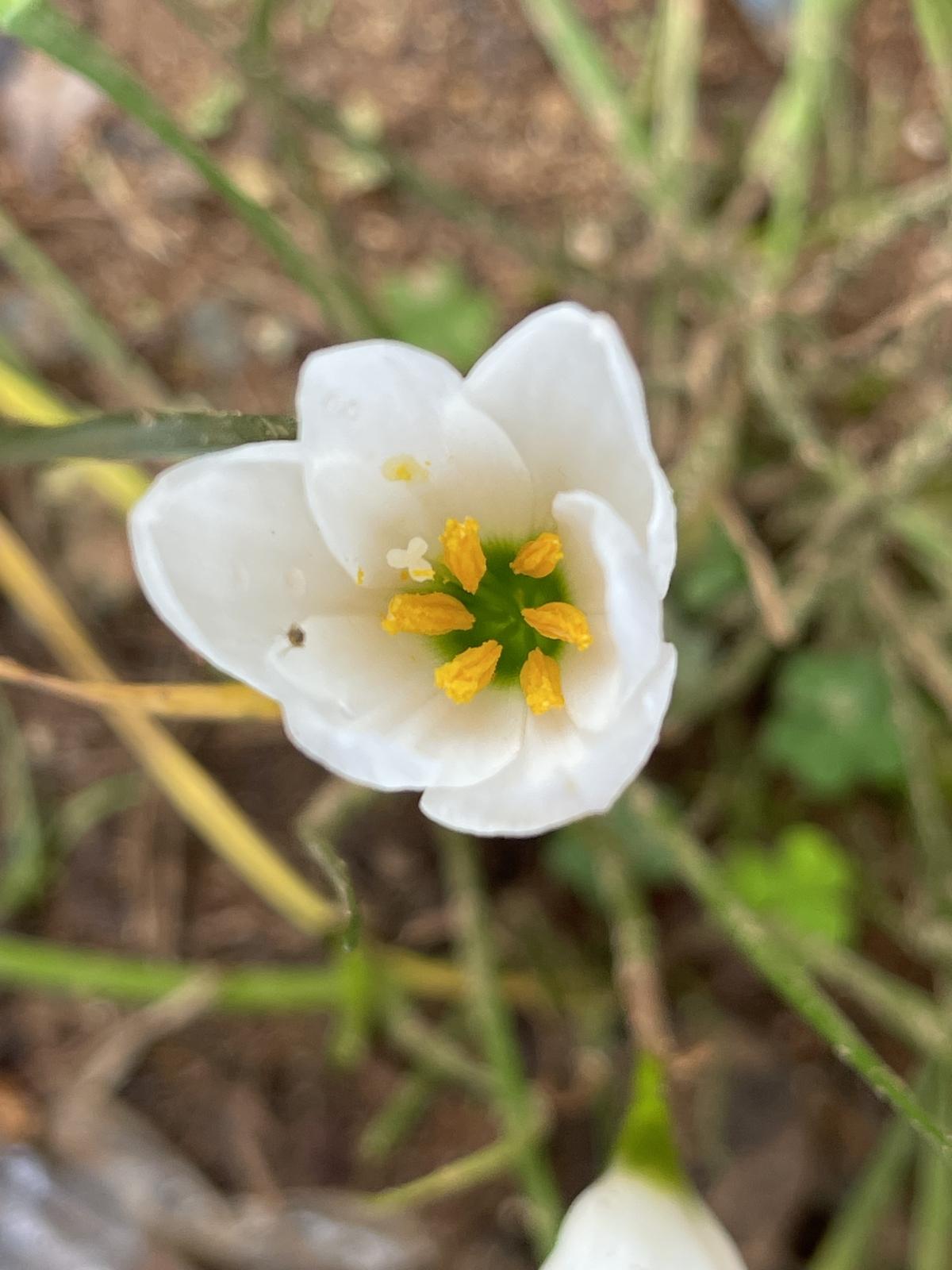 iPhone 12 Pro Max camera sample: