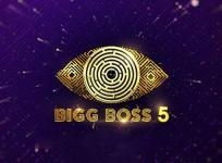 Bigg Boss Telugu 5 contestants final list