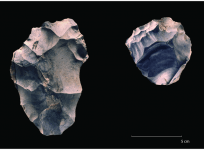 Picture of a large Levallois flake (on the left) and a Levallois core (right)