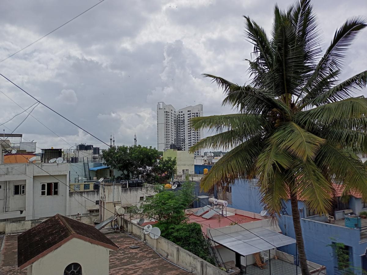 Nokia G20 review: Shot on normal mode Nokia G20 review