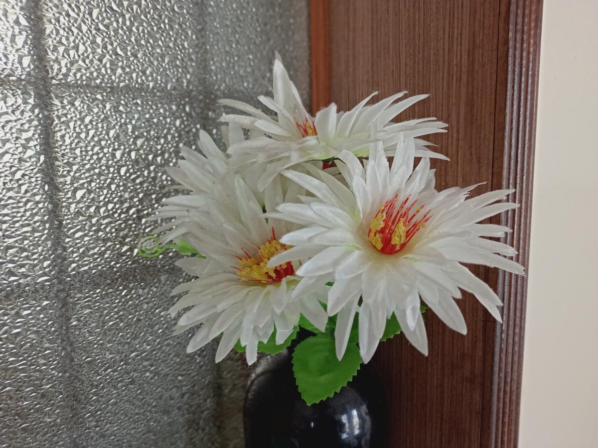 Nokia G20 review: Portrait Nokia G20 review