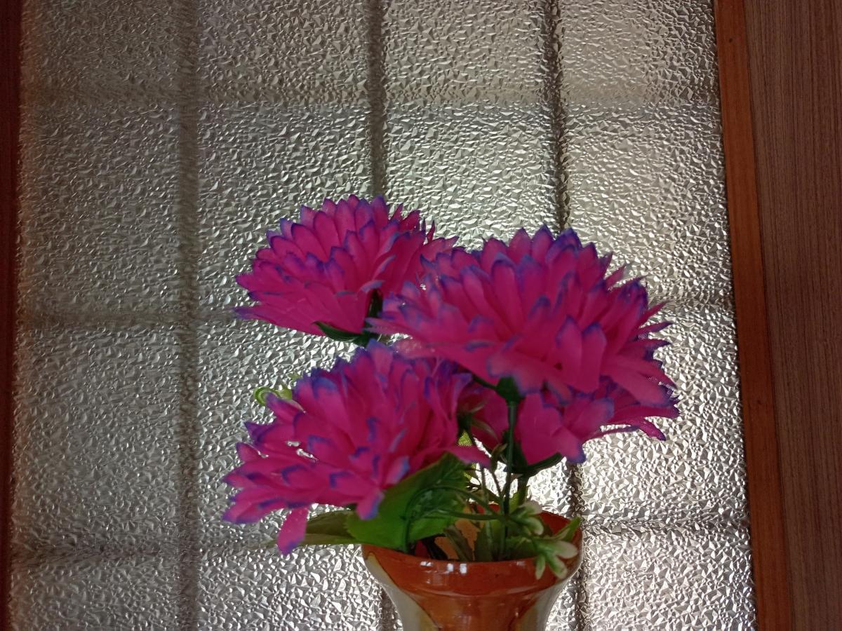 Nokia G20 review: Main sensor Nokia G20 review