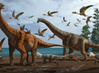 New Dinosaur