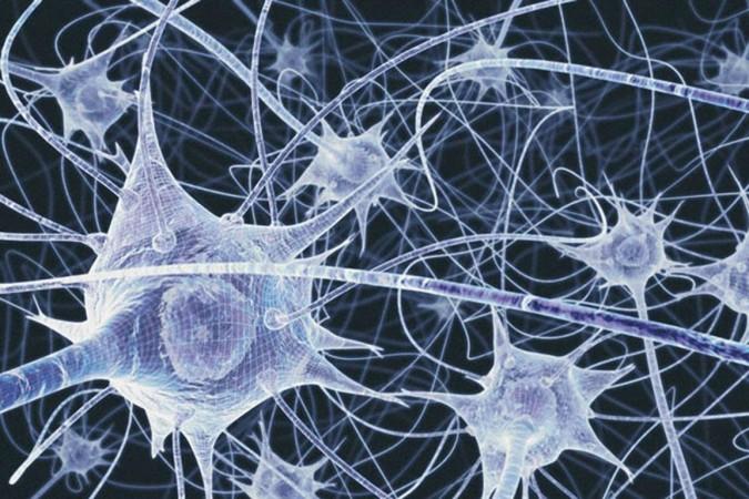 Illustration of neurons Neurons