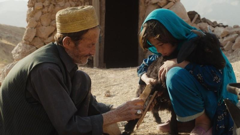 A still from the film Wolf and Sheep A still from the film Wolf and Sheep