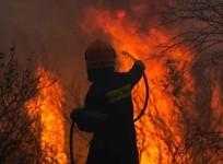 California wildfire grows 10 times in size in 48 hrs