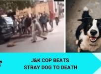 Dog beaten to death by cop