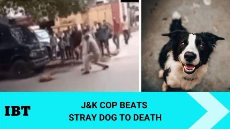 Dog beaten to death by cop