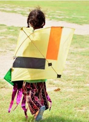 Harmful threads also have a disastrous impact on bird populations Kite festival