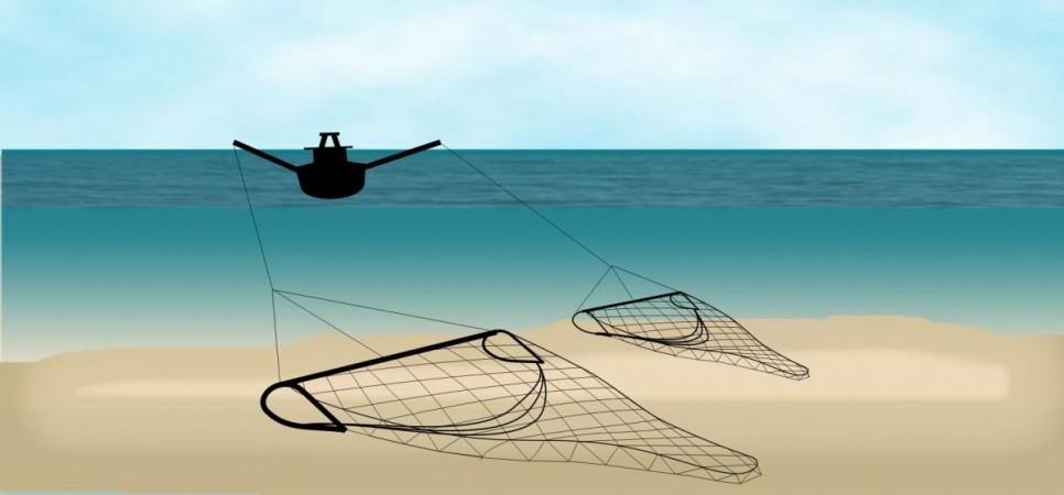 Bottom Trawling (Representational Picture) Bottom Trawling