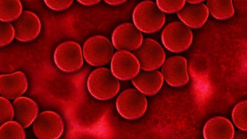 Blood plasma (Representational Picture) Blood