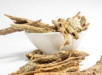 Ayurveda