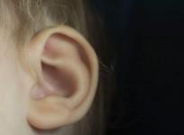 Ears
