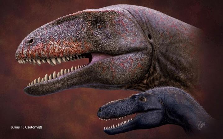 Ulughbegsaurus uzbekistanensis, which coexisted with a smaller tyrannosauroid New Dinosaur