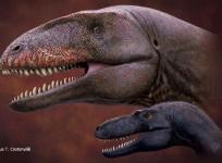 New Dinosaur