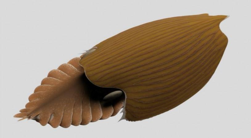 Reconstruction of Titanokorys gainesi Fossil