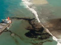 oil spill