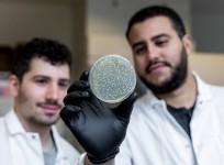 scientists on RNA cutting enzyme