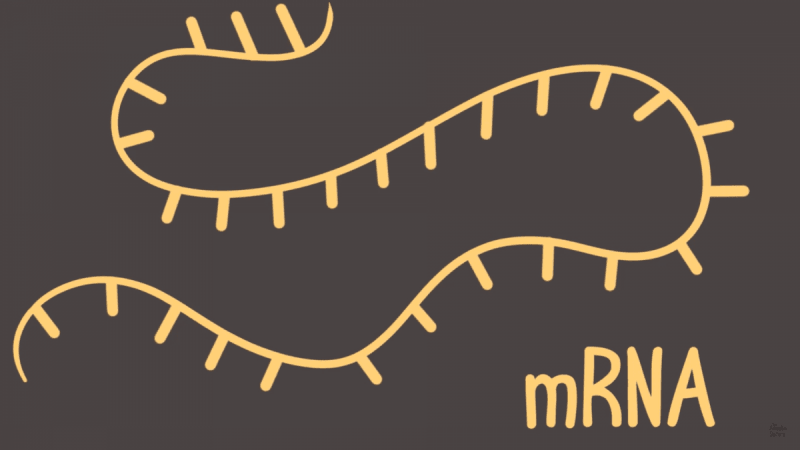 Youtube screenshot RNA