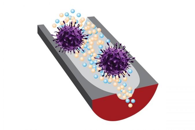 A new sensor can distinguish infectious viruses from noninfectious ones thanks to selective DNA fragments and sensitive nanopore technology DNA sensor
