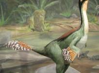 Dinosaur