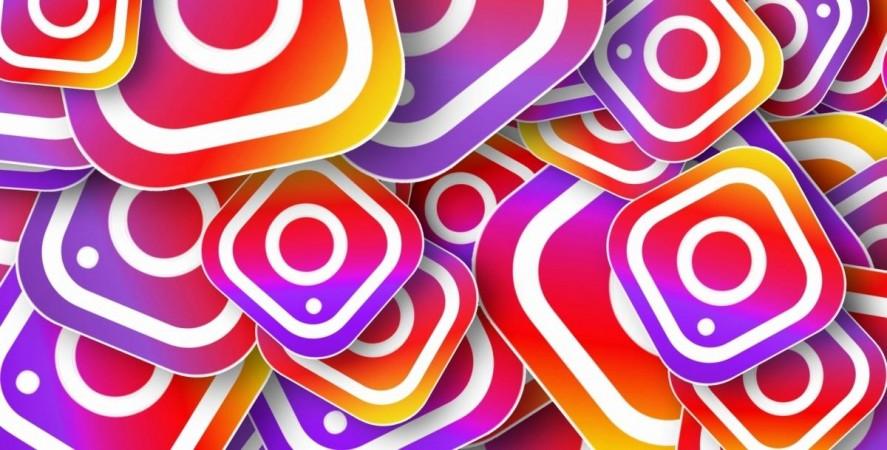 IANS instagram logo
