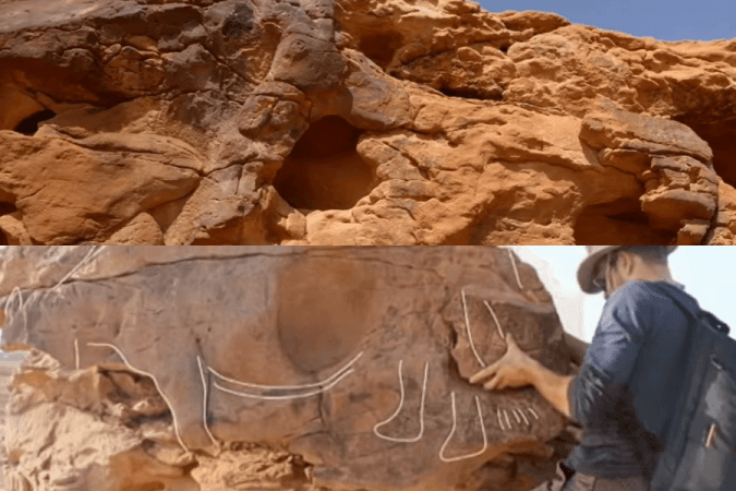 Youtube Screenshot camel saudi