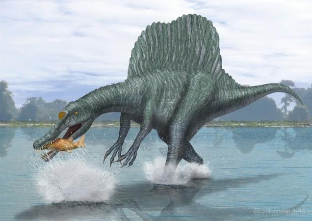 Spinosaurus (Representational Picture) Spinosaurus