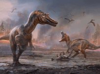 Dinosaur