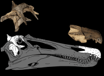 UK new dinosaur