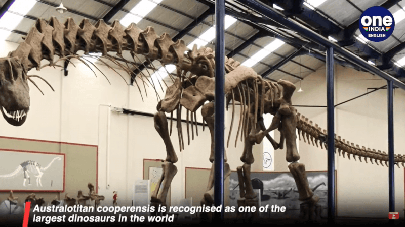 Youtube screenshot australian cooper