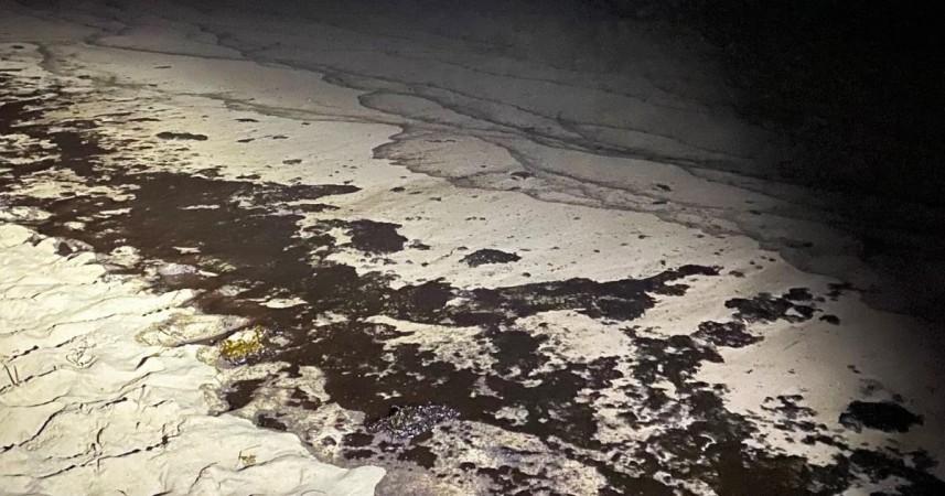 'Massive oil spill off California coast a potential ecological disaster'
