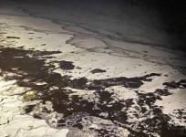 'Massive oil spill off California coast a potential ecological disaster'