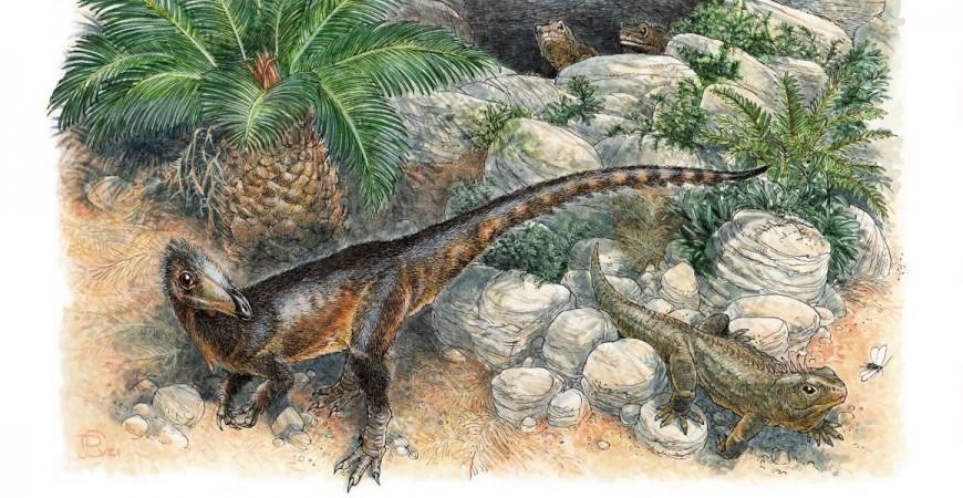 Pendraig milnerae was a small species of carnivorous dinosaur, living in what is now southern Wales New Dinosaur