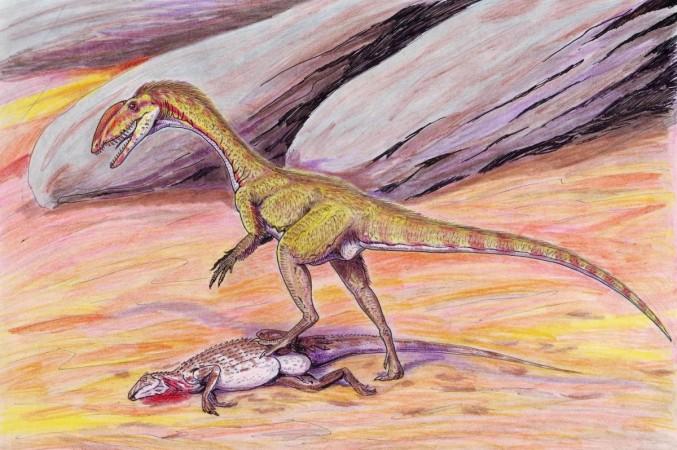 Megapnosaurus (Representational Picture) Dinosaur