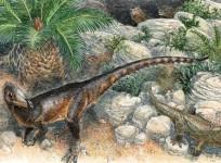 New Dinosaur