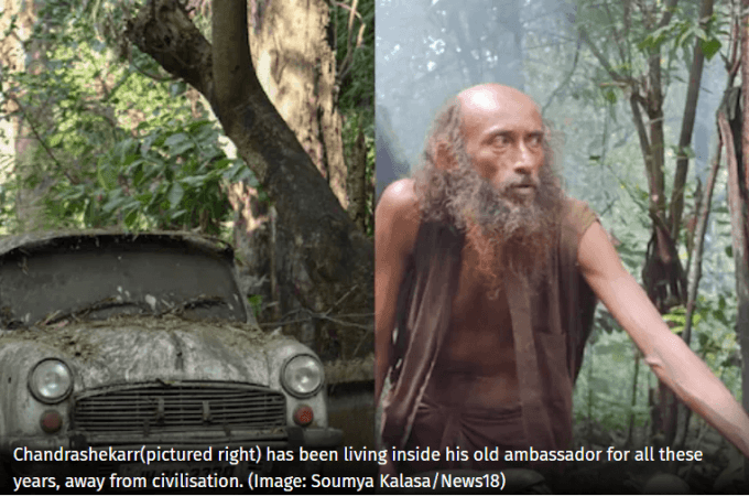 Forest man