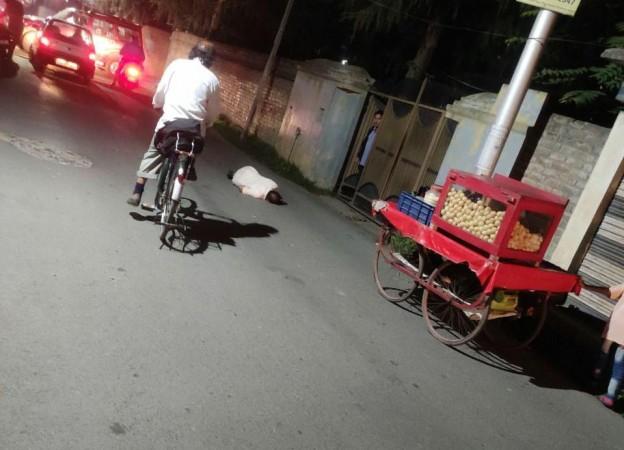 Fact check: Lack of money wasn't reason for Bihar vendor's cremation in Srinagar [truth here]