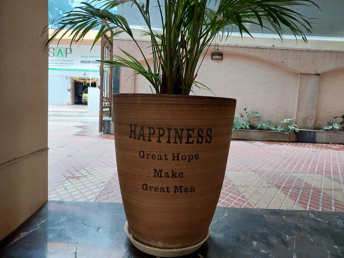 Samsung Galaxy M52 5G camera sample