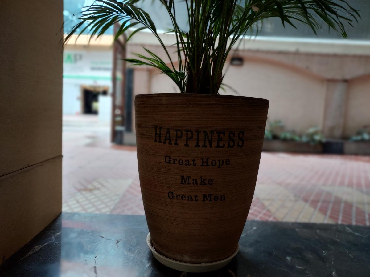 Samsung Galaxy M52 5G camera sample