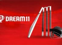 Dream11 suspends operations in Karnataka after FIR under new law; users to miss IPL playoffs