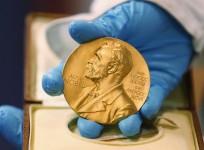 Researchers flag lack of gender diversity in science Nobels
