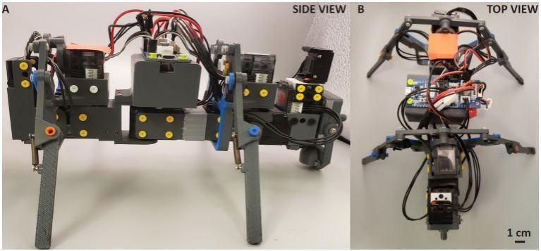 Side and top view of a single robot. A. Side view, B. Top view New Robot