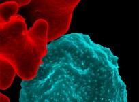Malaria