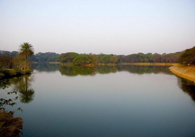 IANS Bandipur tiger reserve