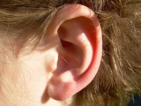 Human Ear (Representational Picture) Ear