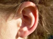 Ear